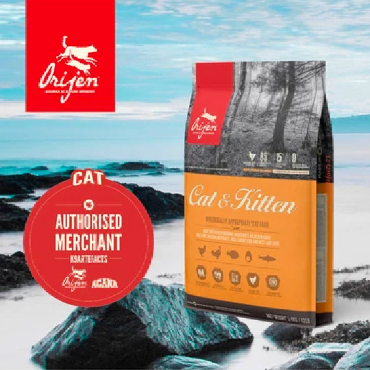 Orijen Cat & Kitten Cat Dry Food 340g