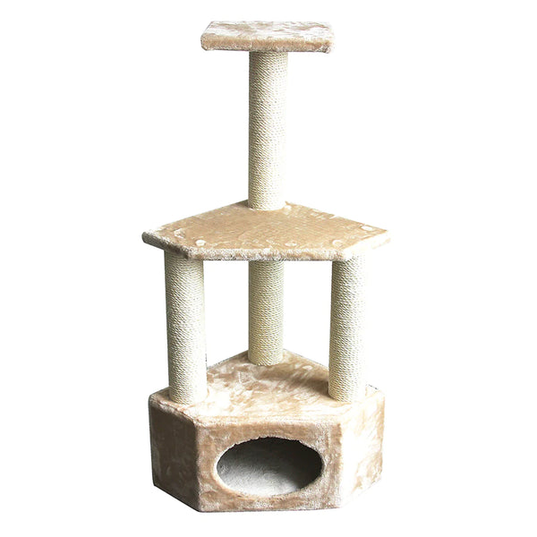 Pawise Cat Post Rome II