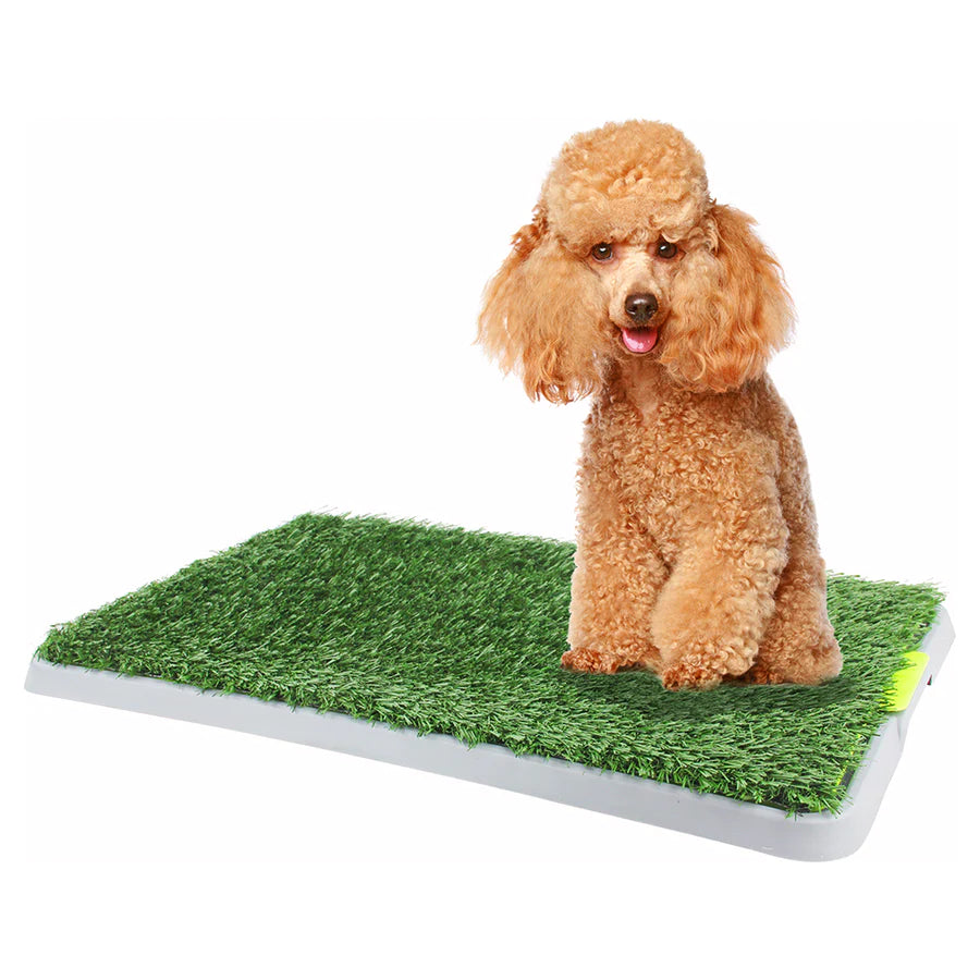 Pawise Green Trainer Replacement Grass Mat