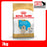 Royal Canin Canine Golden Retriever Dry Puppy Food (2 Sizes)