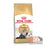 Royal Canin Feline Adult Persian Cat Dry Food 4kg