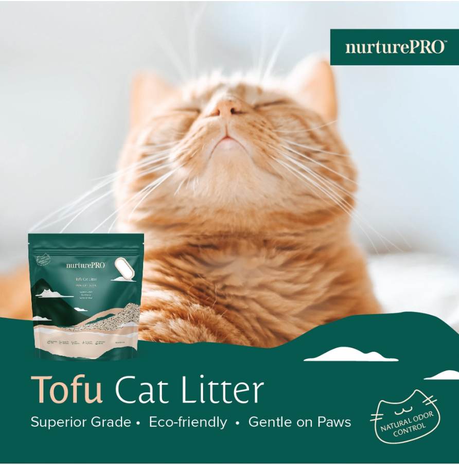 Cat litter specials hot sale