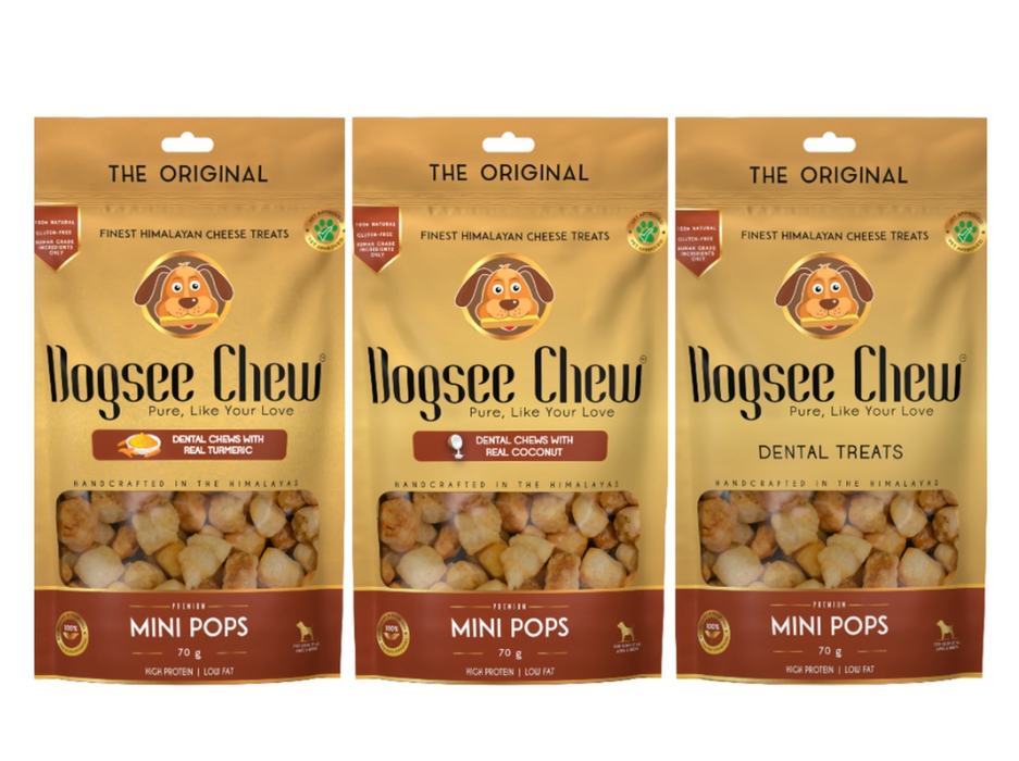Dogsee Chew Mini Pops Himalayan Cheese Dog Treats 70g (3 Flavours)