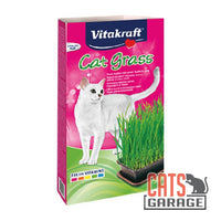Cat Grass
