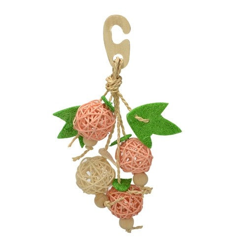 Wild Sanko Natural Hanger Fruit for Birds