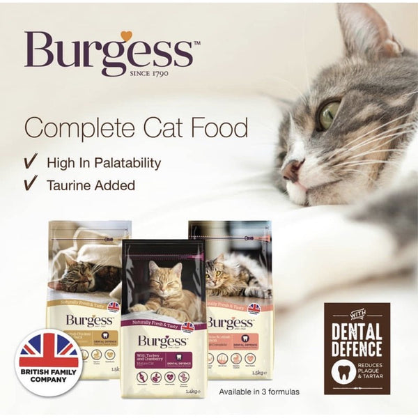 Burgess Adult Cat Dry Food 10kg | Chicken&Duck / Salmon