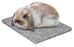 Wild Sanko Natural Cooling Stone L