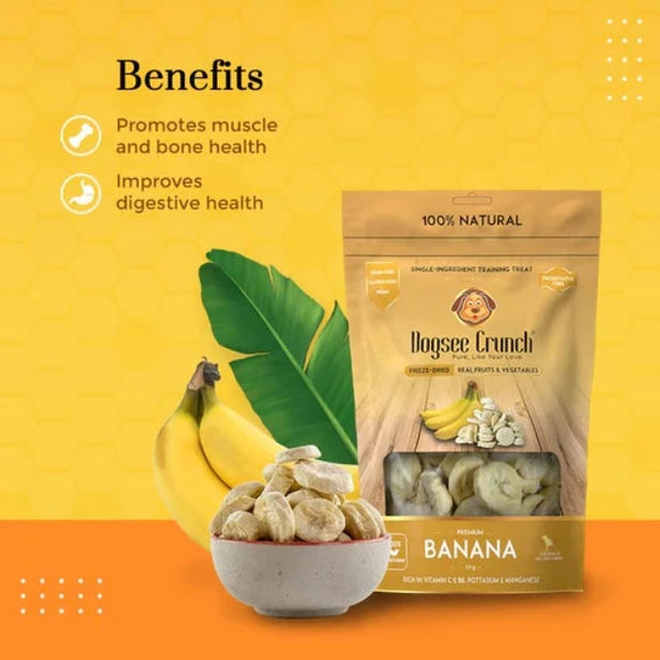 Dogsee Crunch Banana Freeze-Dried Dog Treats