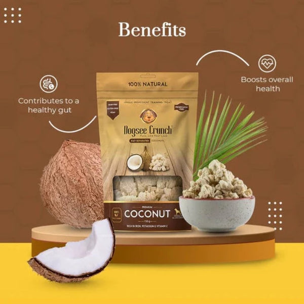 Dogsee Crunch Coconut Grain-Free Dog Treats