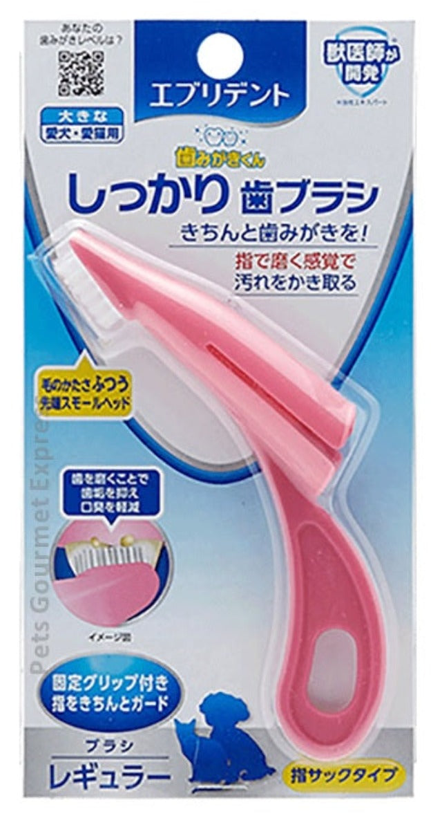 Everydent Firm Tooth Brush Regular