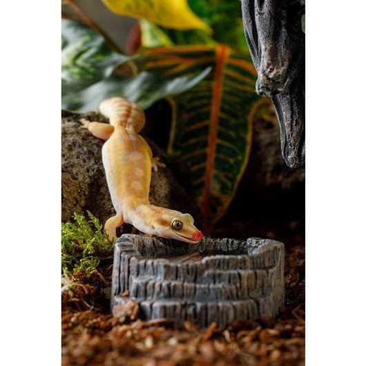 Exo Terra Tiki Water Dish