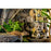 Exo Terra Aztec Calendar Stone Hideout Small