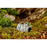 Exo Terra Wet Rock Cave Small
