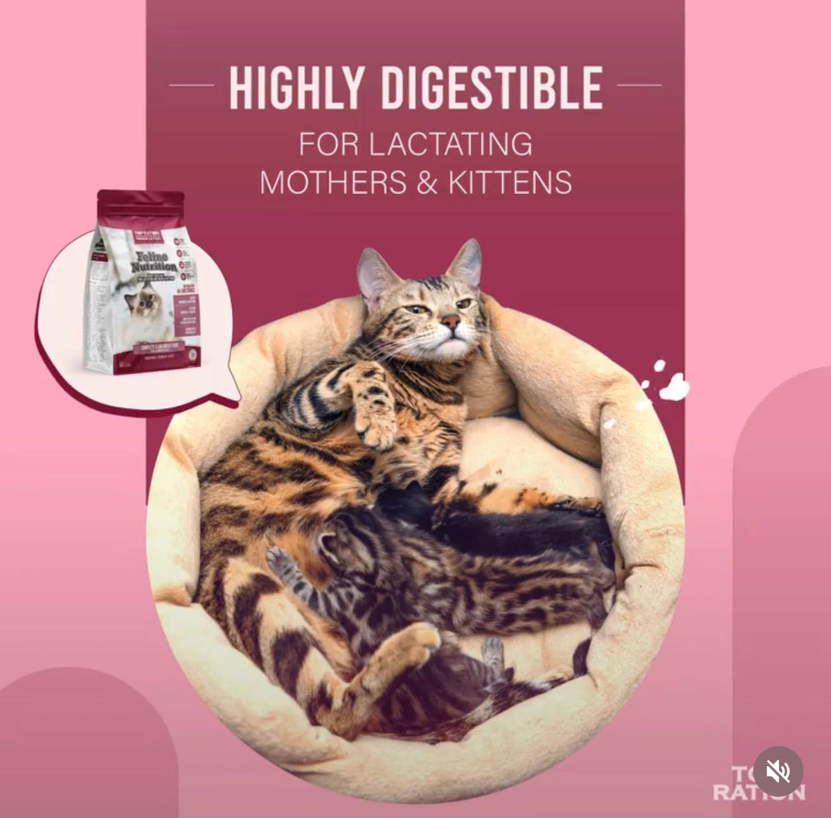 Top Ration Premium Feline Nutrition All Life Stages 1.8kg — Cats Garage