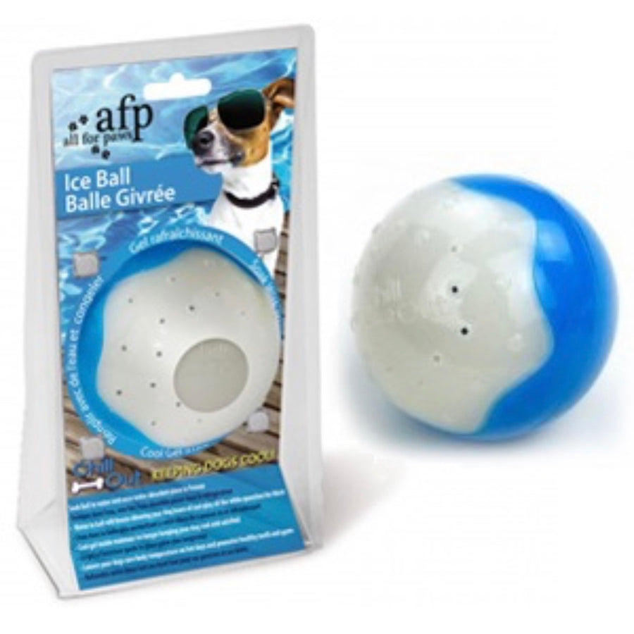 All For Paws Ice Ball