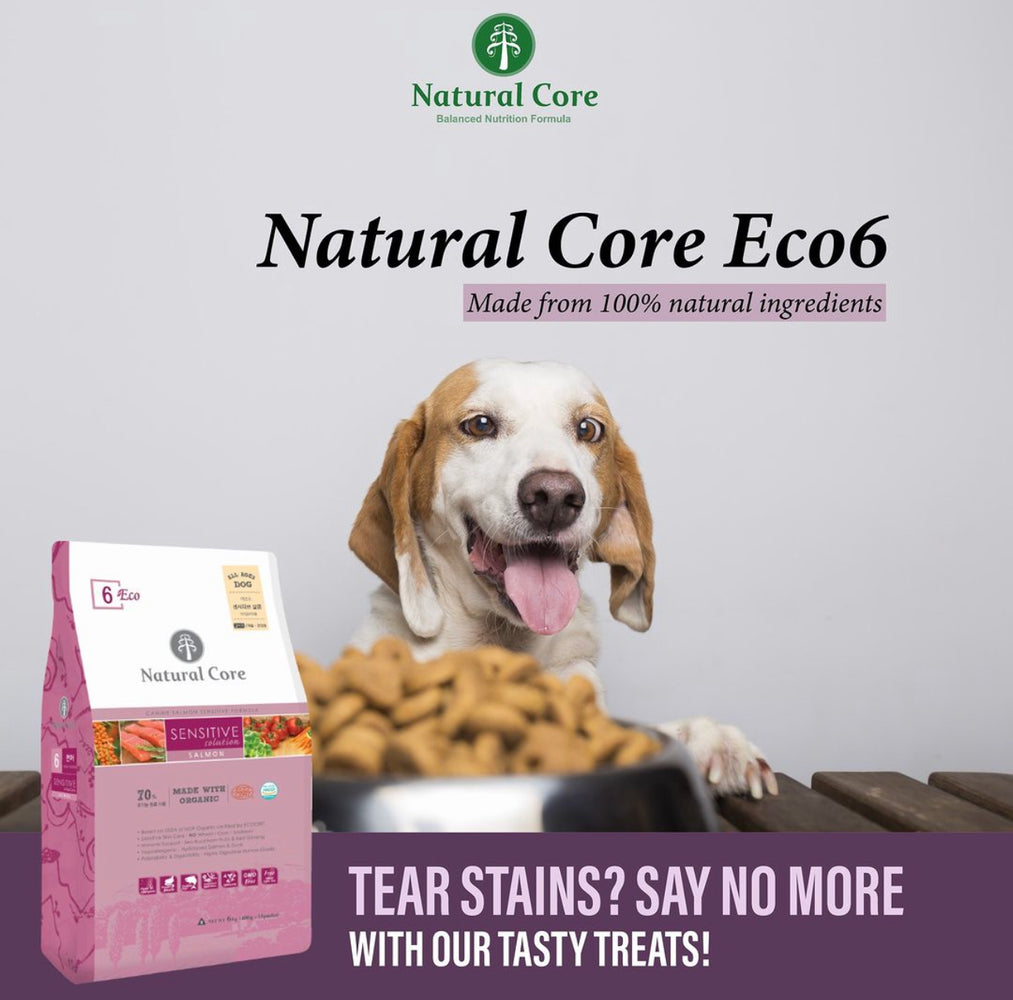 Natural Core 6 Organic Sensitive Solution Salmon Dry Dog Food (2 Sizes)