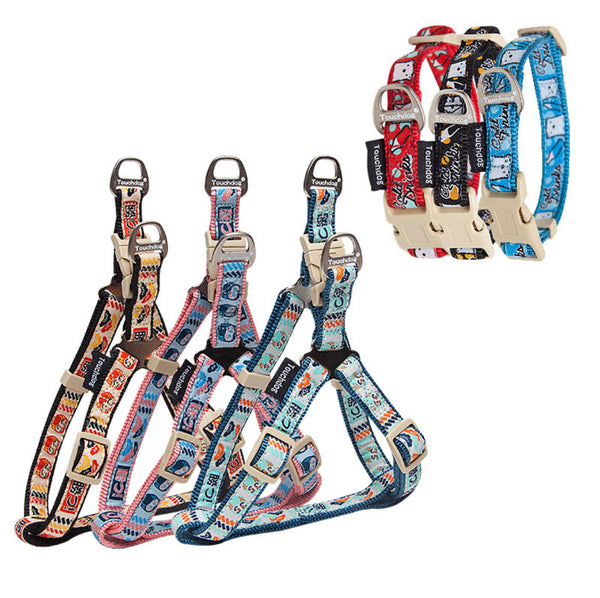 Touchdog Collar & Lead