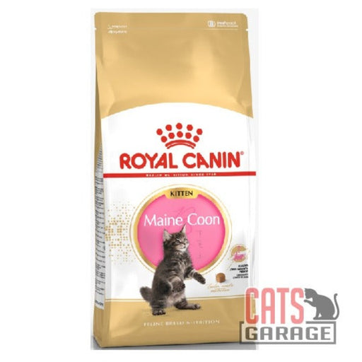 Royal Canin Kitten Maine Coon - 85gX12 & 400g