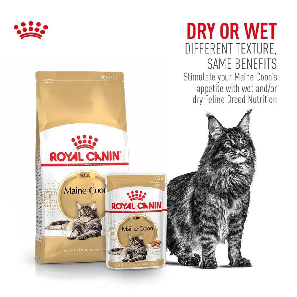 Royal Canin Adult/Kitten Maine Coon (2 Sizes)
