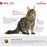 Royal Canin Adult/Kitten Maine Coon (2 Sizes)
