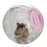 Marukan Hamster Play Ball Small 12cm