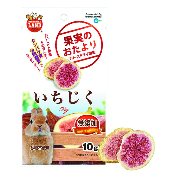 Marukan Freeze Dried Fig 10g