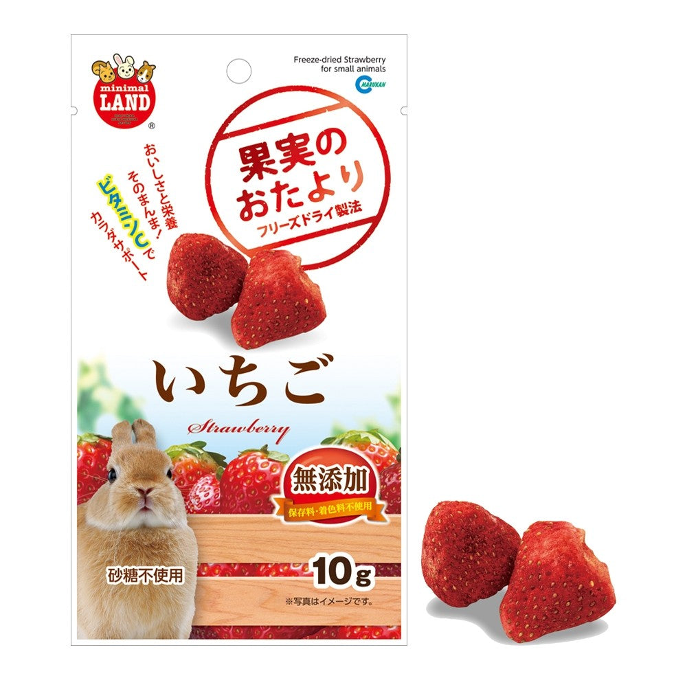 Marukan Freeze Dried Strawberry for Small Animals 10g