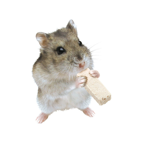 Marukan Freeze Dried Tofu Stick Plain for Small Animals 12g