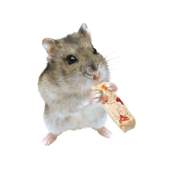 Marukan Freeze Dried Tofu Stick Fruit for Small Animals 12g