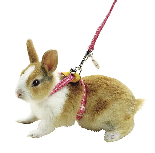 Marukan Rabbit Harness (2 Colour)