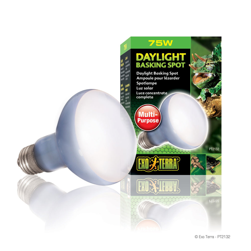 Exo Terra Daylight Basking Spot Lamp R20 (2 Option)