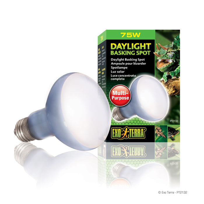 Exo Terra Daylight Basking Spot Lamp R20 (2 Option)