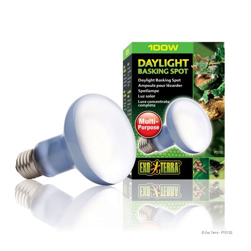 Exo Terra Daylight Basking Spot Lamp R25 100w