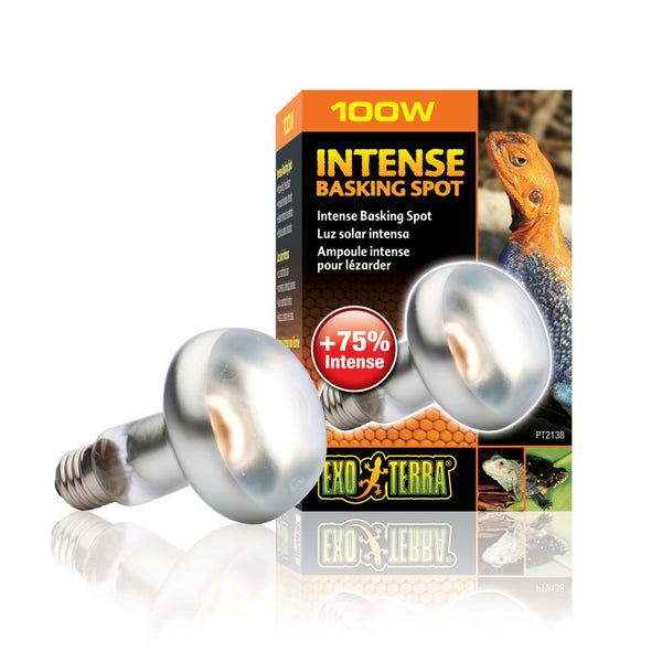 Exo Terra Intense Basking Spot S25 100w