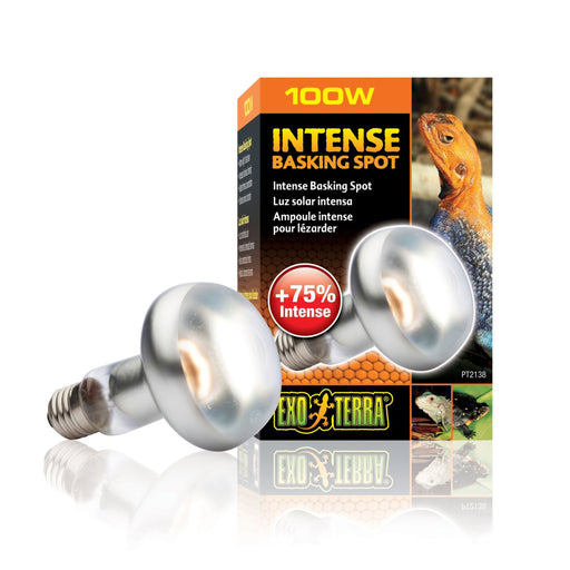 Exo Terra Intense Basking Spot S25 100w