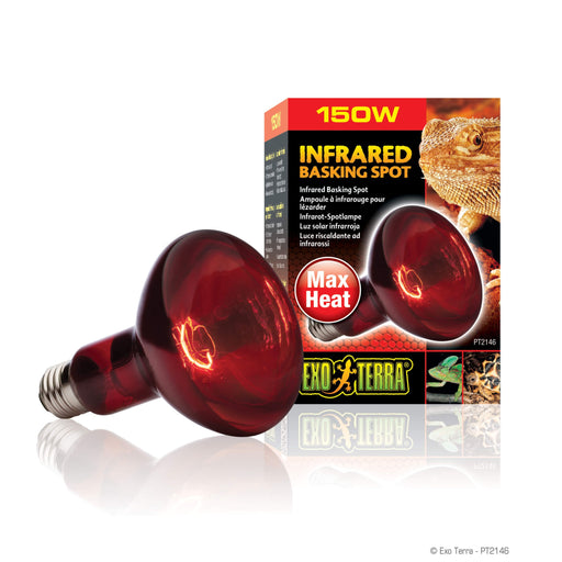 Exo Terra Infrared Basking Spot R30 150w