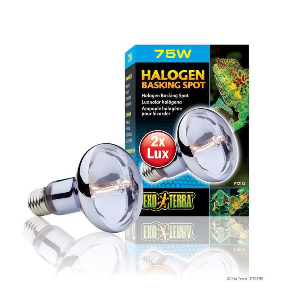 Exo Terra Halogen Basking Spot (2 Option)