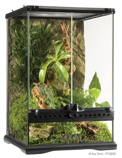 Exo Terra Mini Tall Terrarium