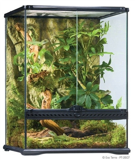 Exo Terra Small Tall Terrarium