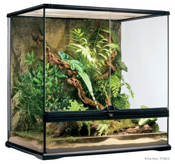 Exo Terra Medium Tall Terrarium