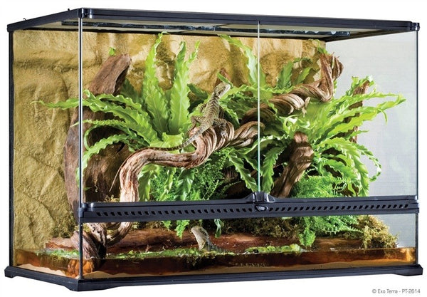 Exo Terra Natural Terrarium Size Large Tall