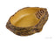 Exo Terra Water Dish (4 Sizes)