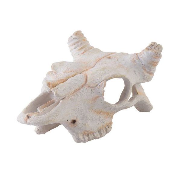 Exo Terra Buffalo Skull Small