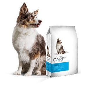 Diamond Care RX Renal Formula Adult Dry Dog Food 8lbs